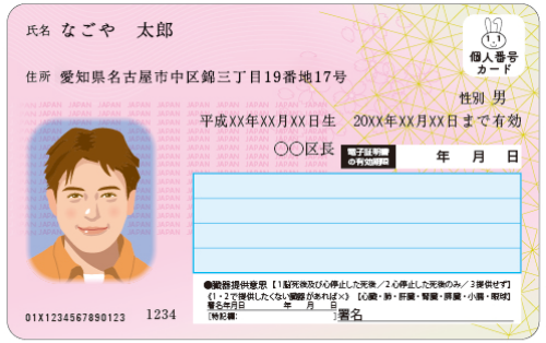 キャッシュカード サンプルイメージ